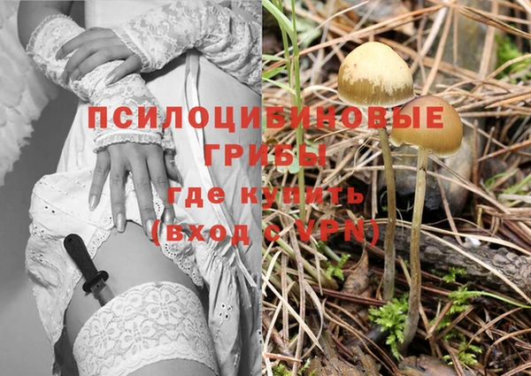 кокаин премиум Алзамай