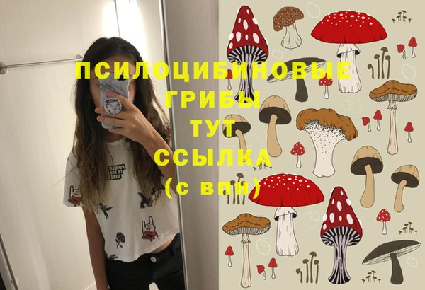 круглые Алексин